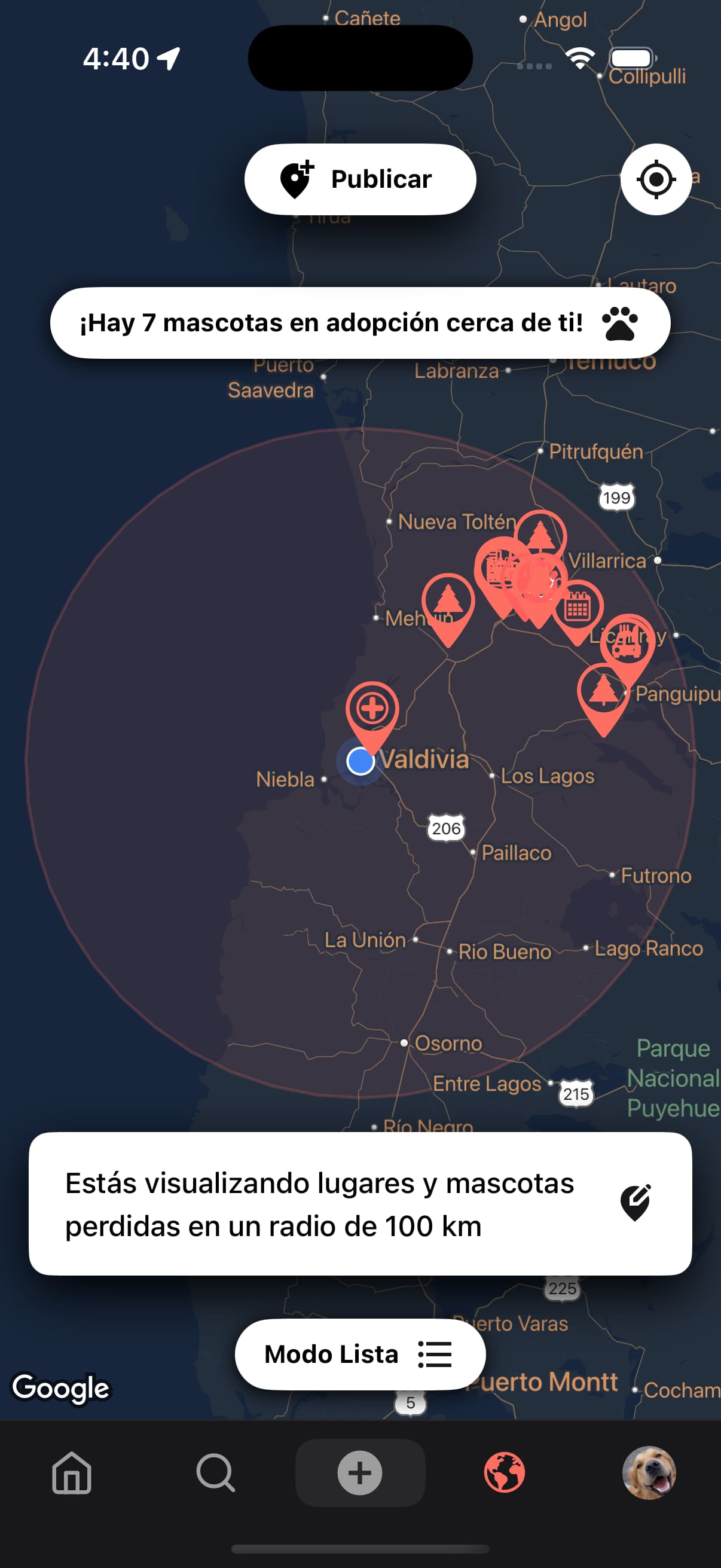 Mapa de Petlify